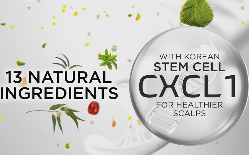 iroro Nutreatment with Stem Cell CXCL1 & 13 Natural Ingredients